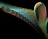 Tulip_wing_spoonflower_logo_thumb