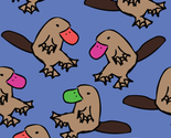 Platyscatterrecolor_thumb