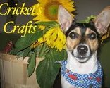 Facebookcricketscrafts_thumb