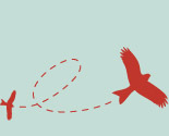 Redkitebird3_copy_thumb