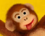 Monkeyhead_thumb