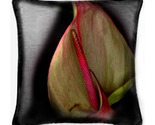 Close_up_orchid_thumb
