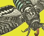 Spoonflower_image_thumb