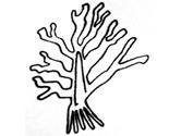 Img_0582_klein_thumb