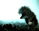 Hedgehog-in-the-fog_thumb
