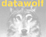Ascii-datawolf2_thumb