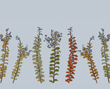 Crape_myrtle_sketch_tiny_thumb