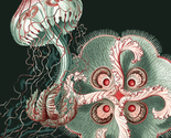 Jellies_thumb