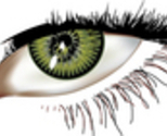 Ist1_915500_woman_s_eye_vector_thumb