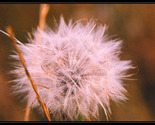 Blow_me_away_thumb