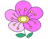 Saxifrageprofil_thumb