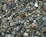 Dscf1311_thumb