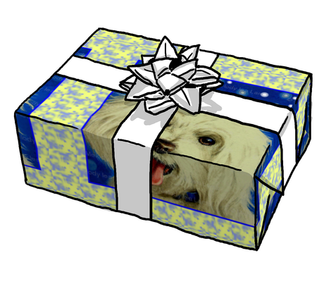 Show_image
