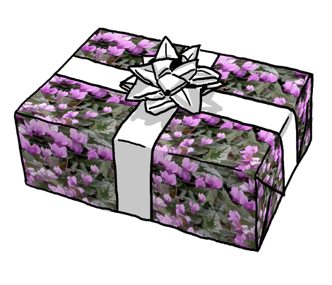 Show_image