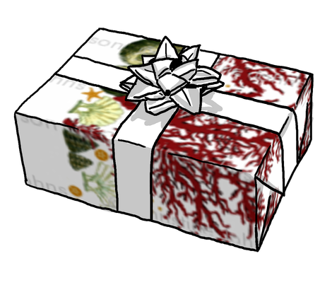 Show_image