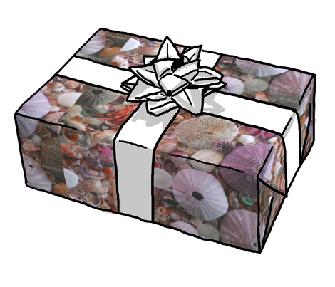 Show_image