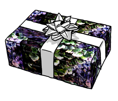 Show_image