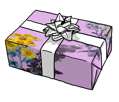 Show_image
