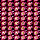 tulip