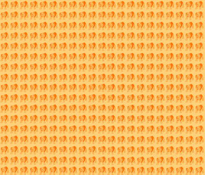 Bulldog Fabric