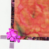 spoonflower_02
