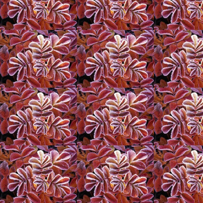 Winter_Leaves