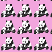 Pandas