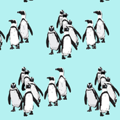 Penguins