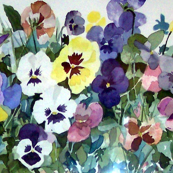 Pansies Pastel