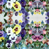 Pansies Pastel