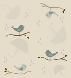 birds