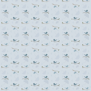 birds