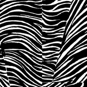 faux bois - zebra