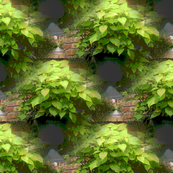 coleous_painted_pattern_tile_