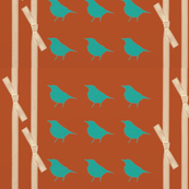 ribbonbirds