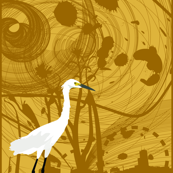 Pelicans