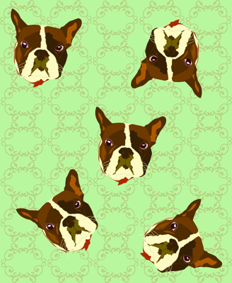 French Bulldogs