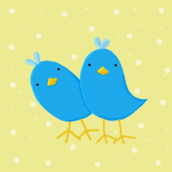 Quizzical_Birds