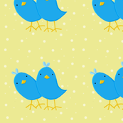 Quizzical_Birds