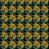 poppy