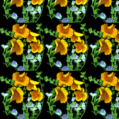 poppy