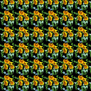poppy