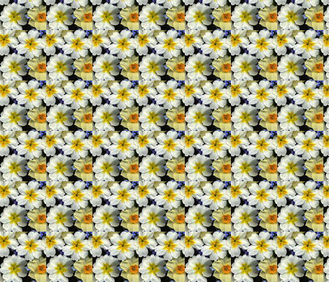 img568 fabric by peggy_gatto on Spoonflower - custom fabric