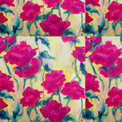 Red_Roses
