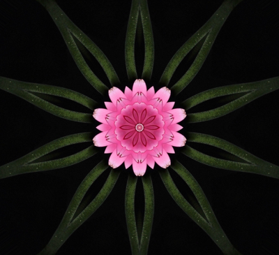 pink_gerber_pattern_c