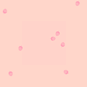 baby raspberry