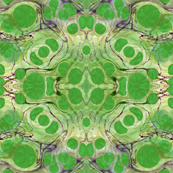 greenwae