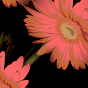 orange_painted_tiled_a