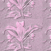 backside_wallpaper_c