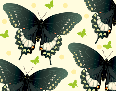 swallowtailart